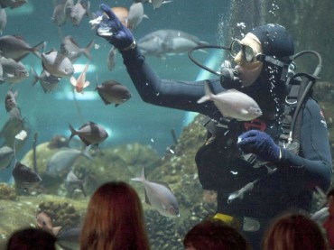 National Aquarium of New Zealand