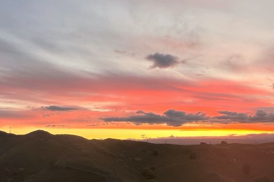 The Black Cottage - views